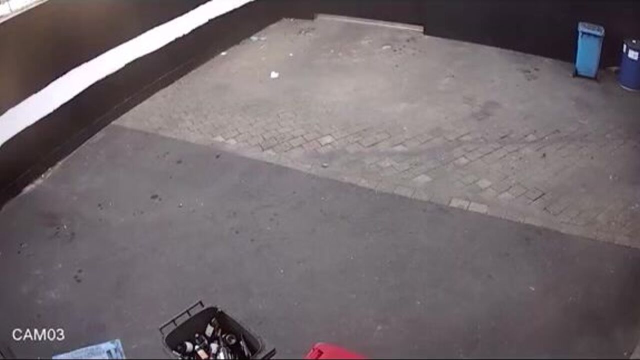 Degrading a scatty slut in this kinky porn video