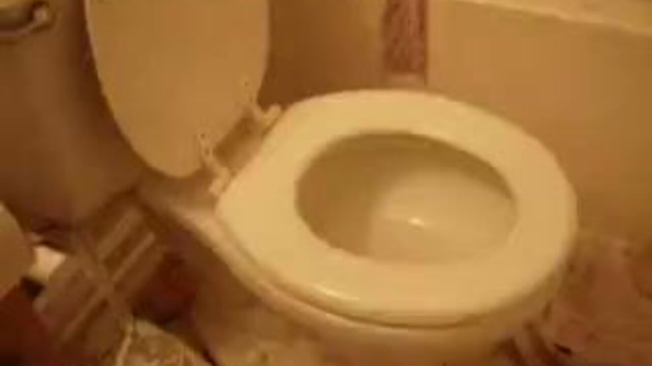 Watch these filthy sluts scat and take it hard in this 1330092535a00c9 video