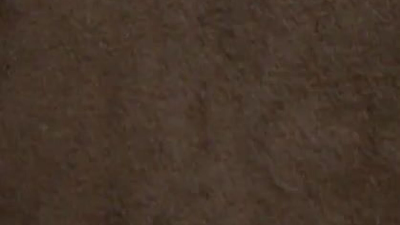 Voyeur compilation of pooped-out sluts getting off in the toilet