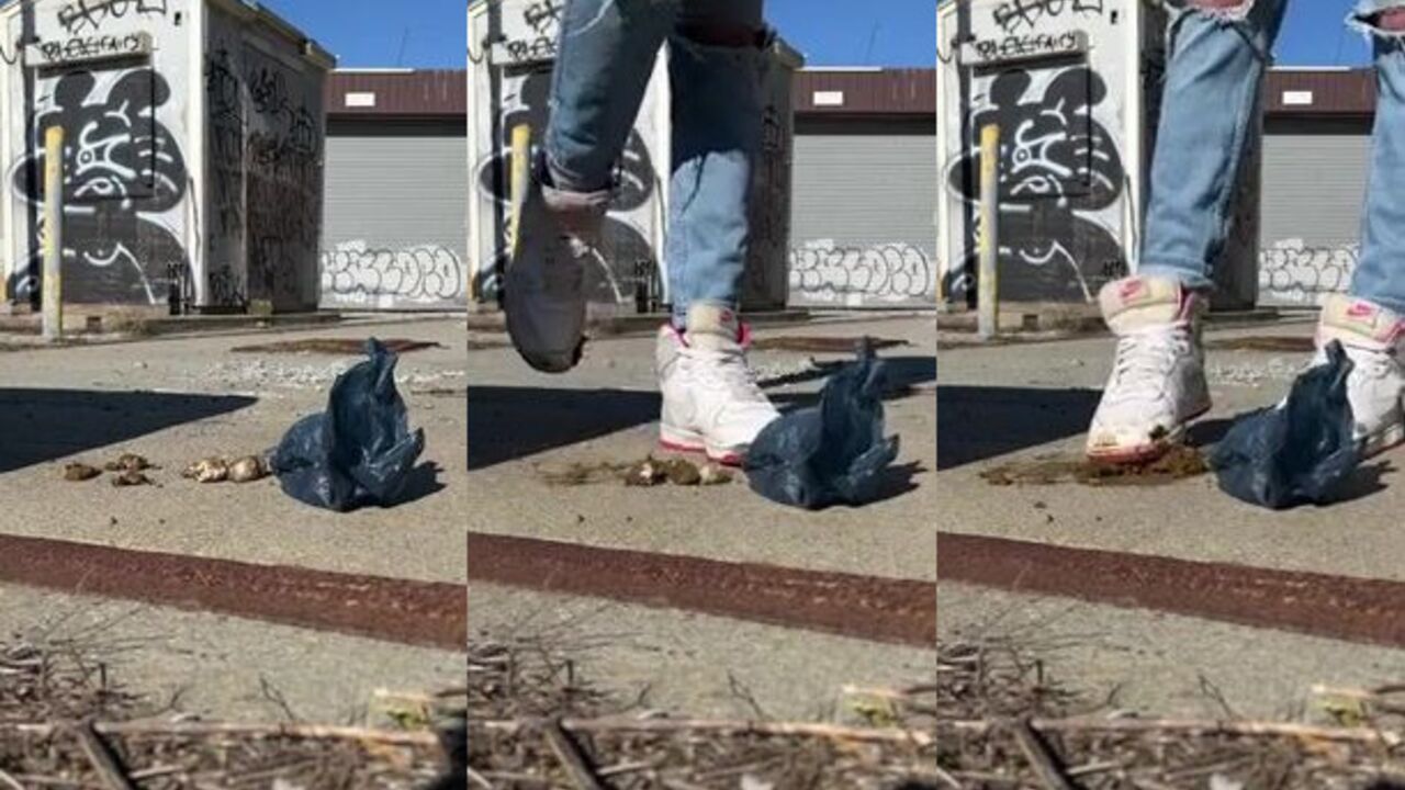 Sneaker-loving slut gets her ass reamed in Dog Shitty at Reebok