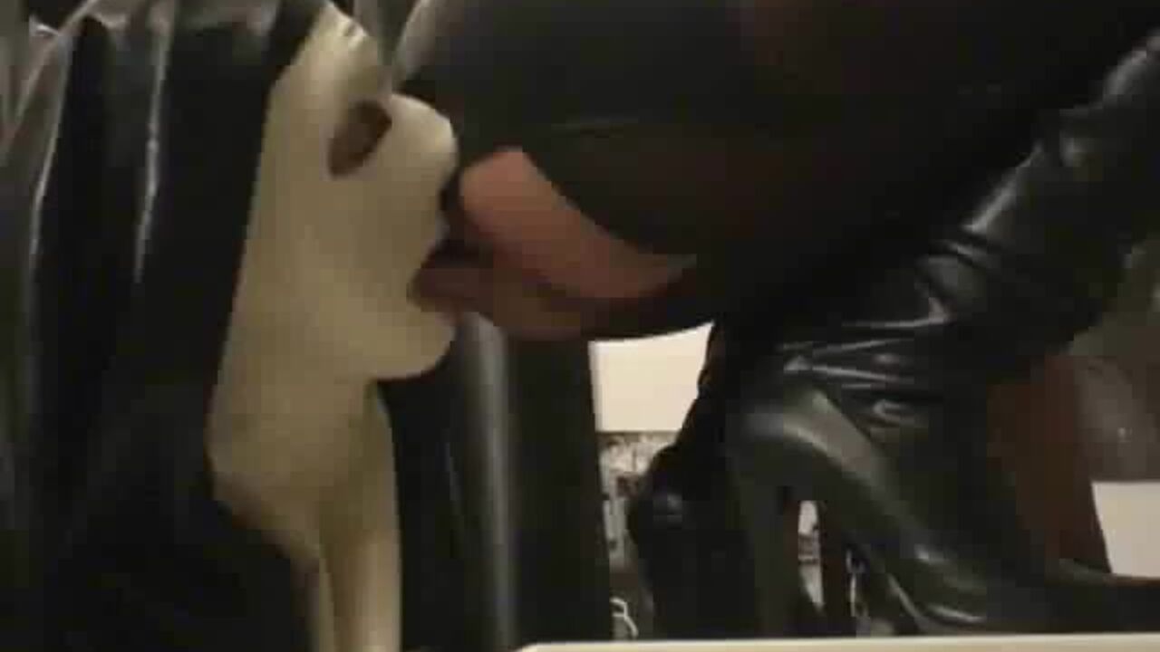 Watch as this filthy slut gets her scat pumped and shits all over the place