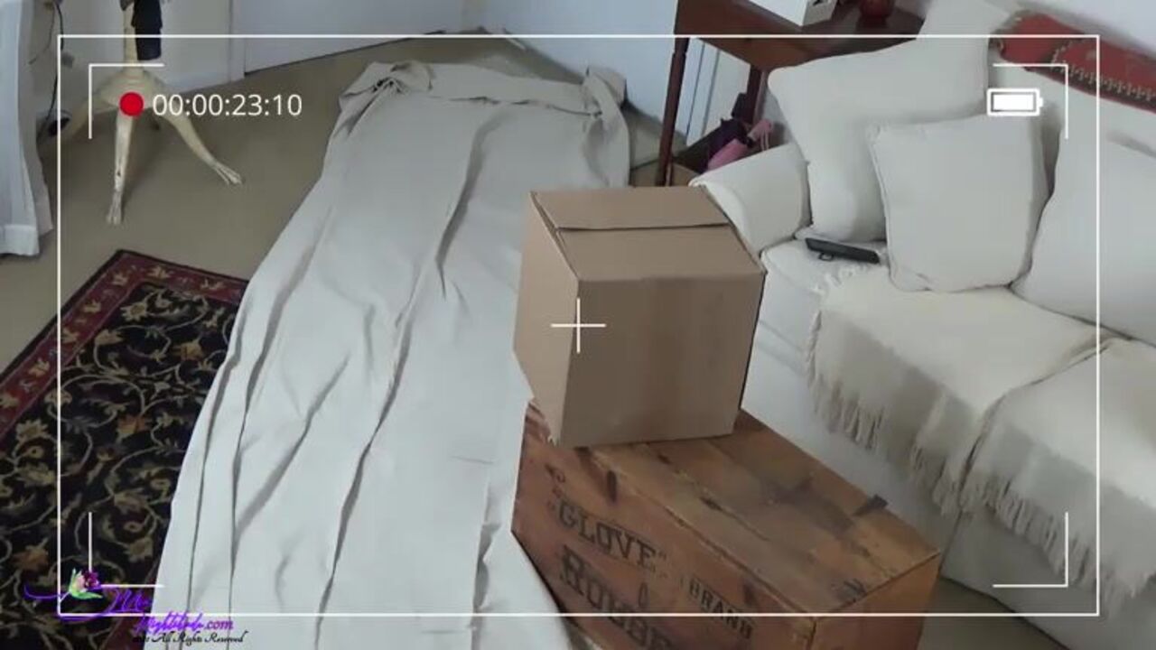 Mia Nightshade, the landlord's pet, gets her scat soaked in her landlord's dirty business