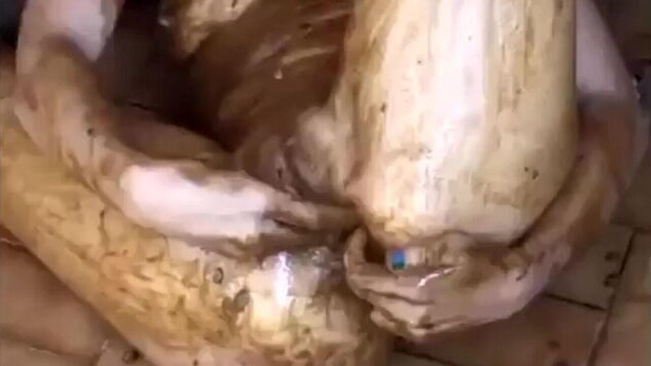 Watch these hot babes get their pussies stuffed with warm jizz