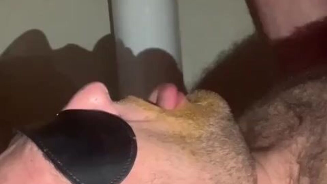 Blindfolded Pig gets a mouthful of scat in this wild feeding frenzy