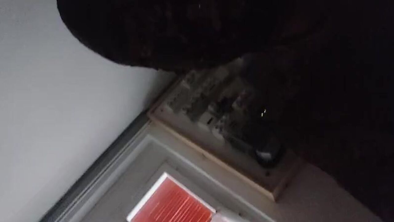 Get up early and get a hot load of scat on your tongue