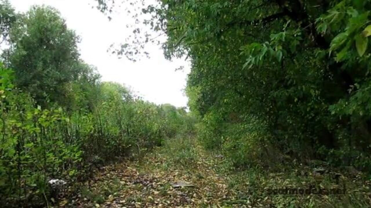 Watch this filthy Russian slut scat and get off on scat porn videos