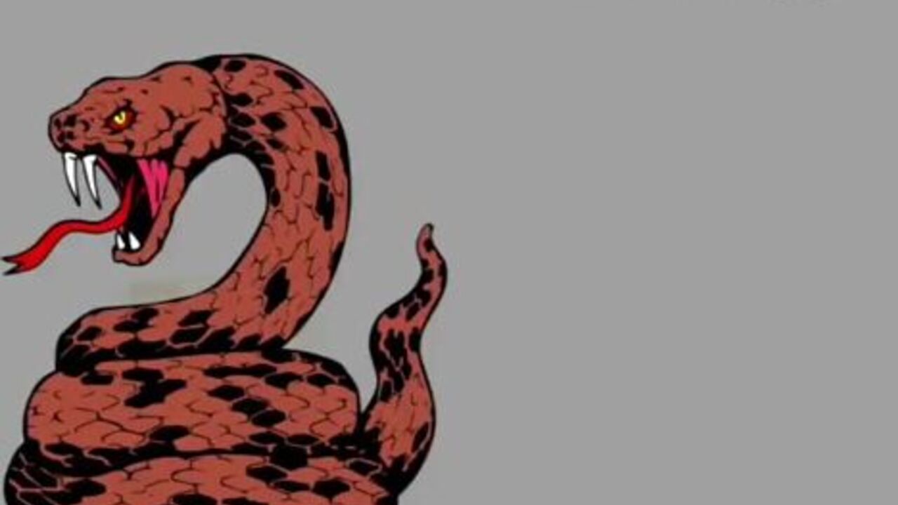 Get up close and personal with the scat and dirty lives of these slutty sluts