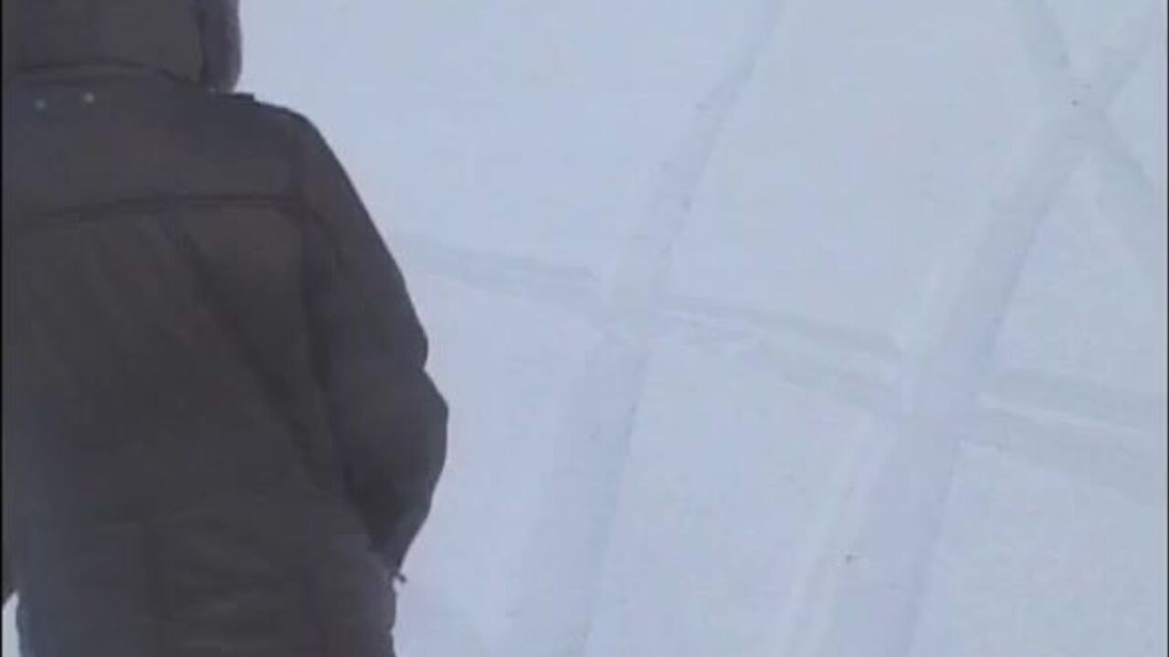 Watch these dirty scat videos of women getting pooped in the wild