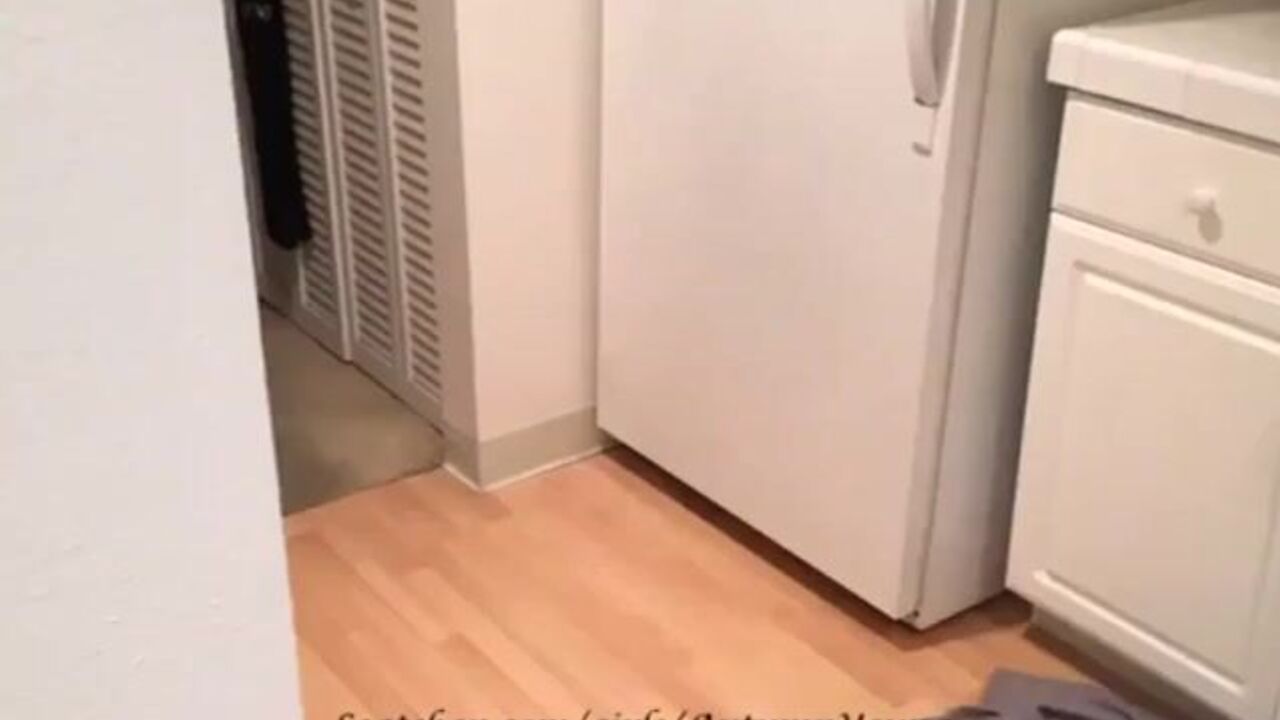 Watch as a scat porn slut gets her holes drilled and filled with warm pee