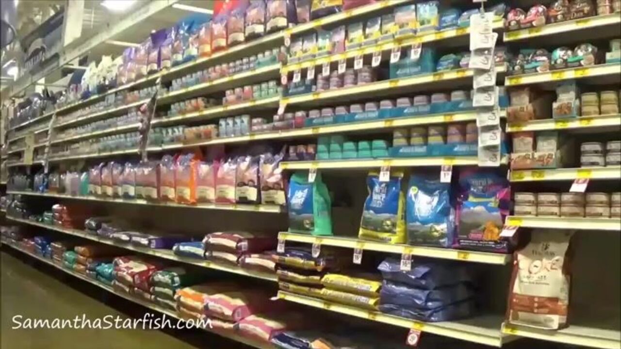 Watch these filthy sluts scat and get off with their Oswed-like scatting skills!