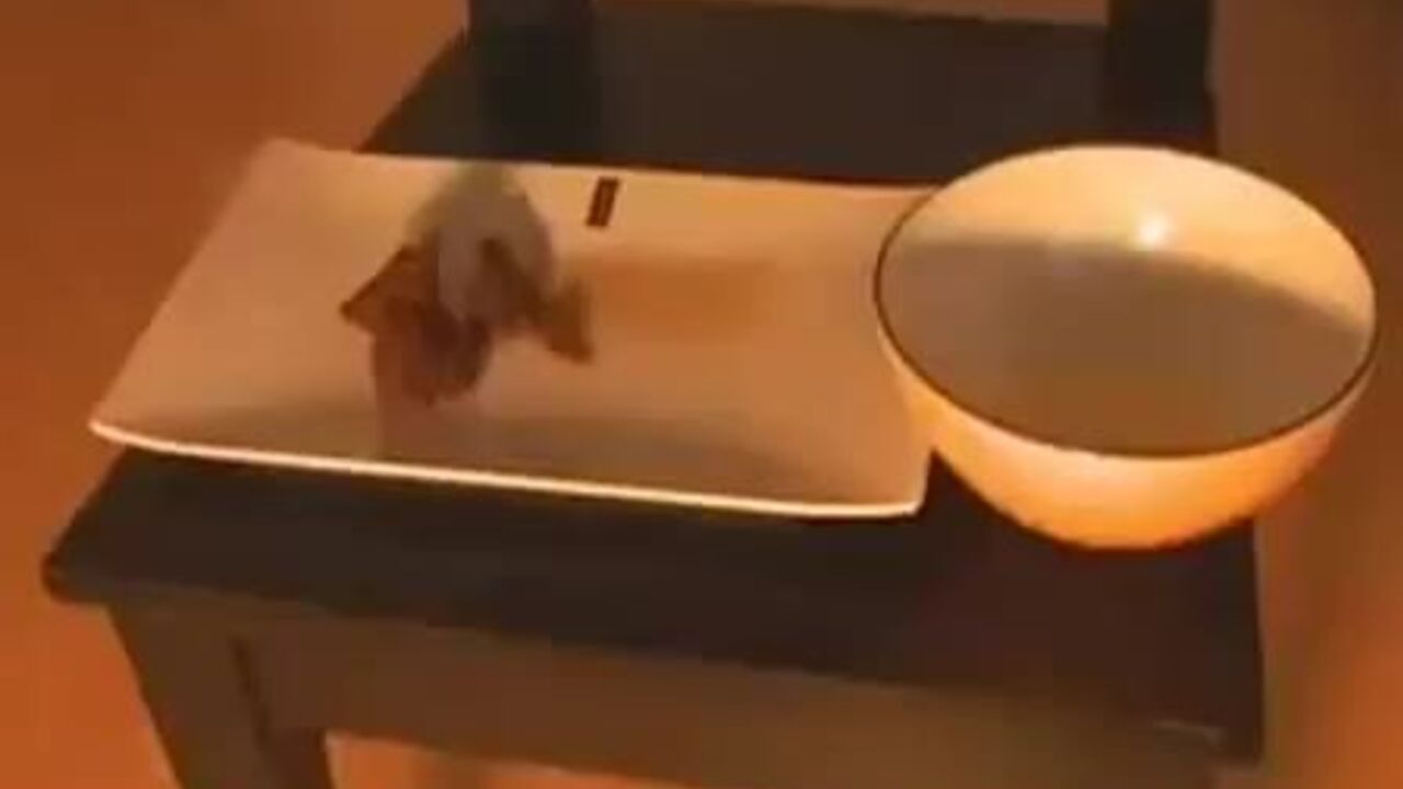 Hot girls show off their ass and pooped out with off-the-cuff pooping