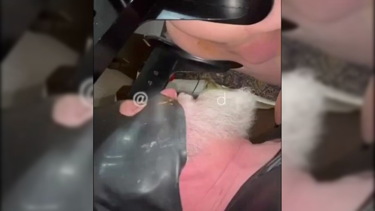 My dad fills up my soft toilet with his own jizz, all the way to the bottom!