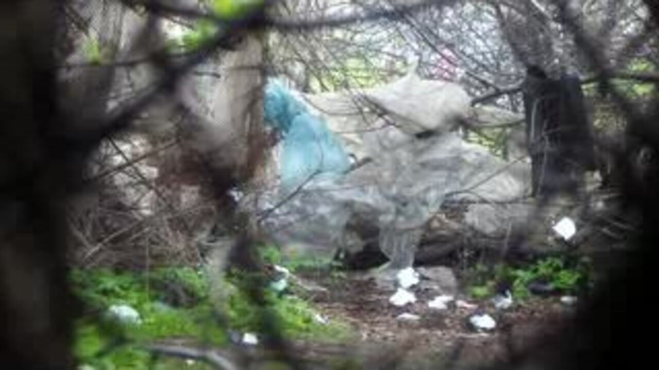 Wild scat porn: slaves scatting in the woods, slave porn, scat porn, and more!