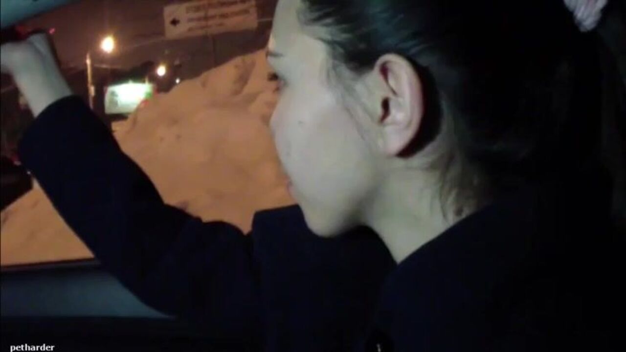 Watch these kinky scat girls get their pussies drilled in Car poop videos