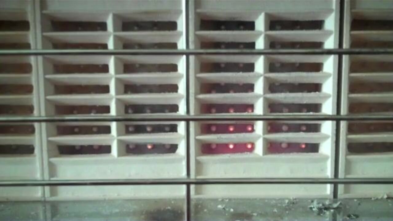 Watch scat porn with scat girls getting off with hot scat action and golden showers