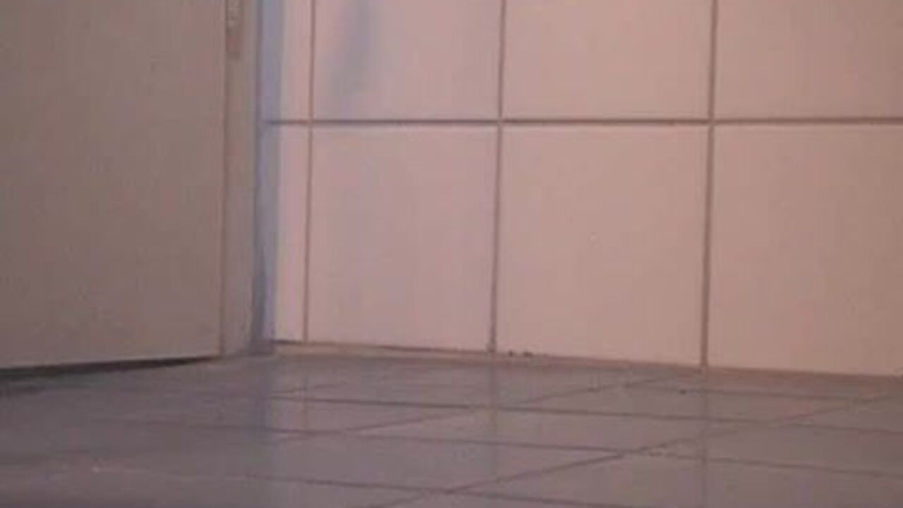 Watch this naughty scat slave get her poo and pussy filled with hard cock