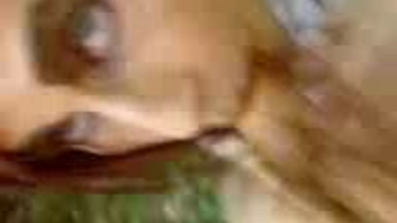 Watch these filthy sluts scat and get off in this POV scat porn video