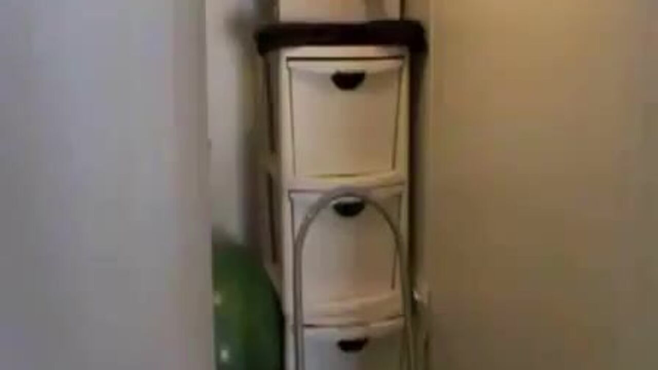 Cute chick gets down and dirty in the toilet with her scat woman friend