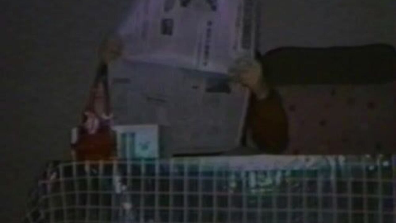 Watch this filthy video of a scat pornstar getting her pussy and ass stuffed with cock