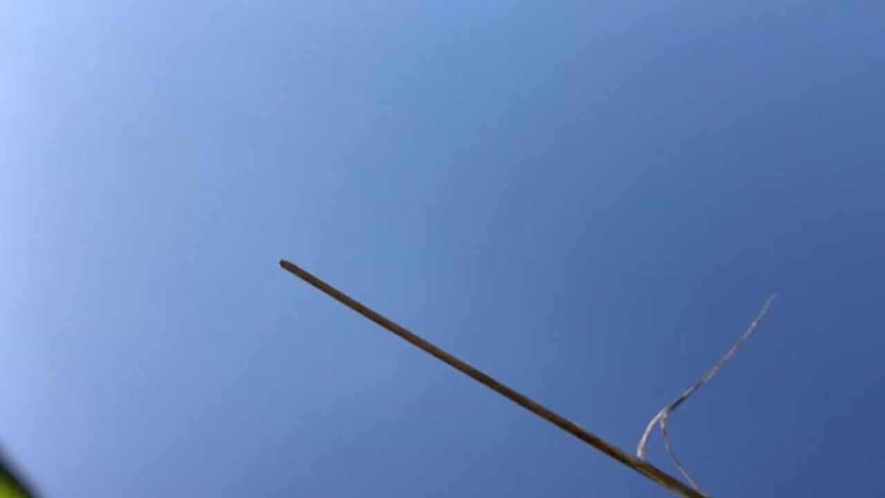 Watch these kinky women get their scats taken in a wild, filthy way