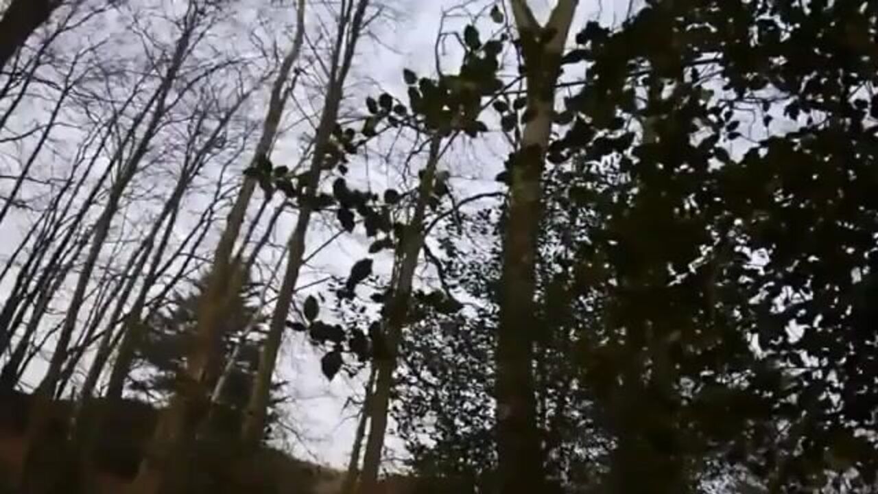 Watch this filthy scat porn video of a scat girl getting pumped and drenched in her own pee