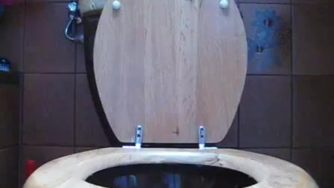 Watch these filthy German women scat and get fucked hard in Ferkeline Scheisse