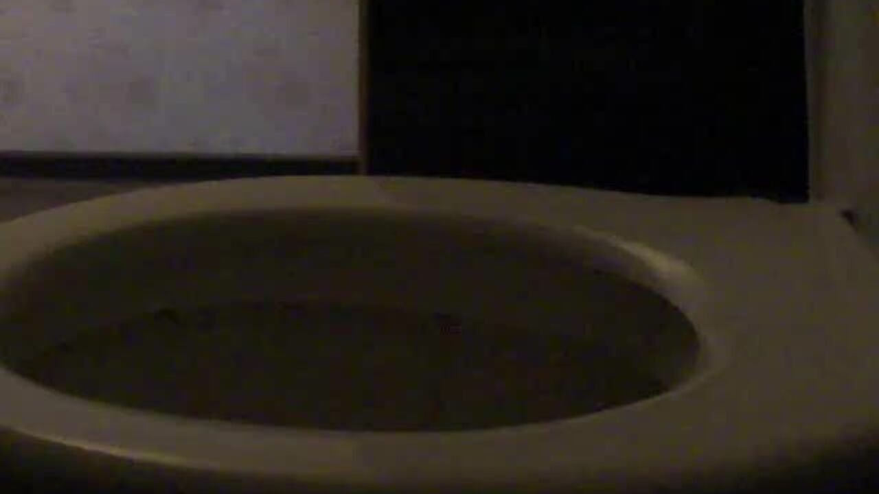 Get ready to watch this filthy porn video of a scatty slave getting off