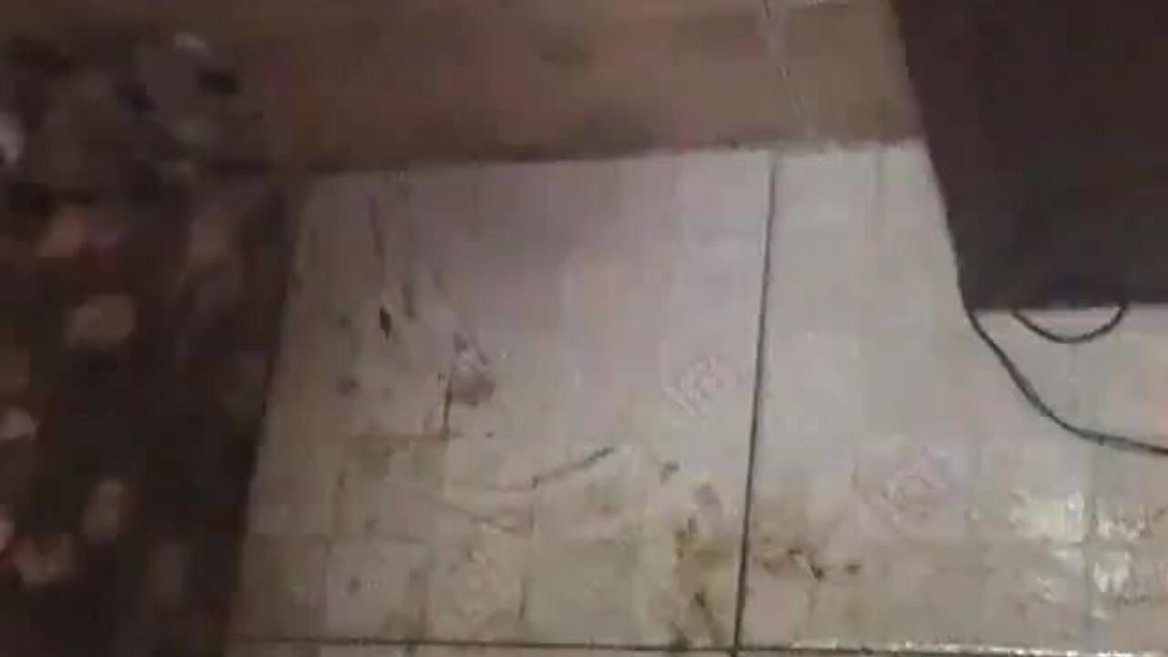 Honeybee's scat is the stuff of legend in Die Scheiße Von Honeybee - a wild and filthy video