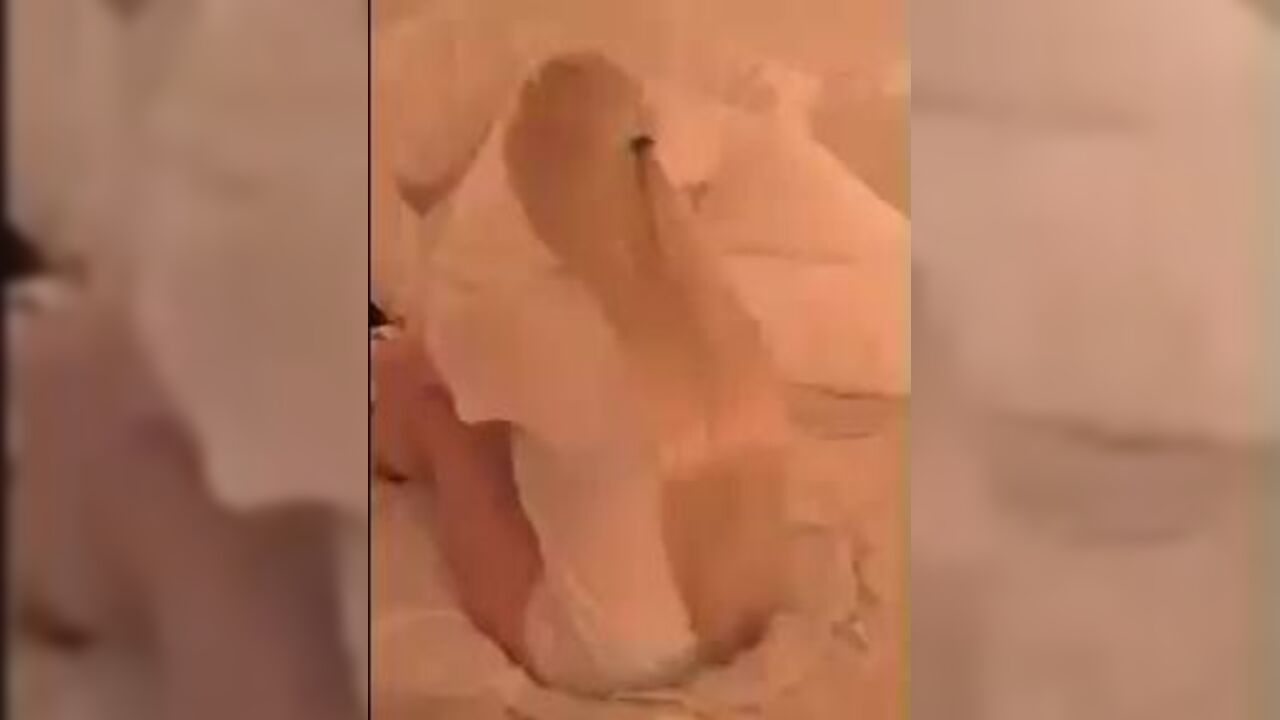 Watch these dirty sluts scat & spit in their own filth on your eyes!