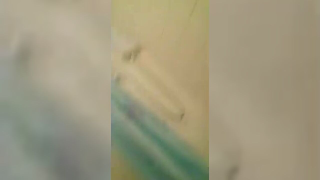 Watch these chubby babes pee and scat while rubbing and pissing together