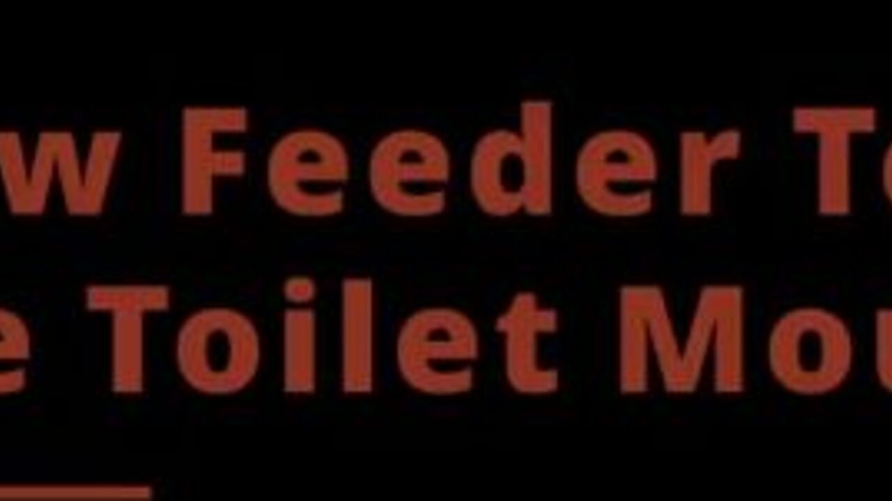 Watch this kinky newbie devouring her own load in a scat feeder frenzy