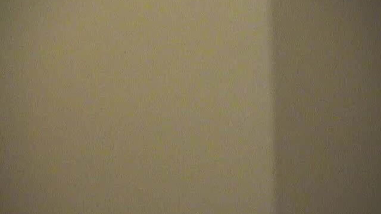 Get up close and personal with this natural-scat fetish video of a dirty slut getting pounded hard