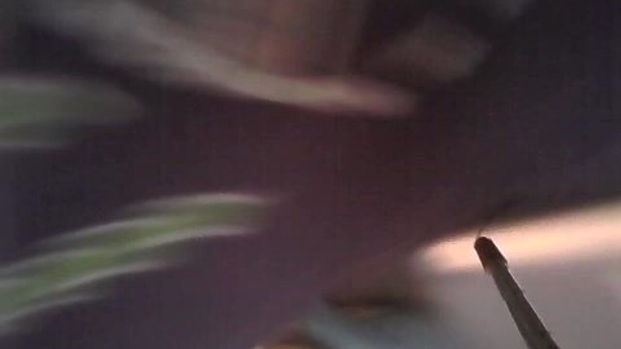 Watch this kinky scat porn video with a dirty girl getting off in the woods