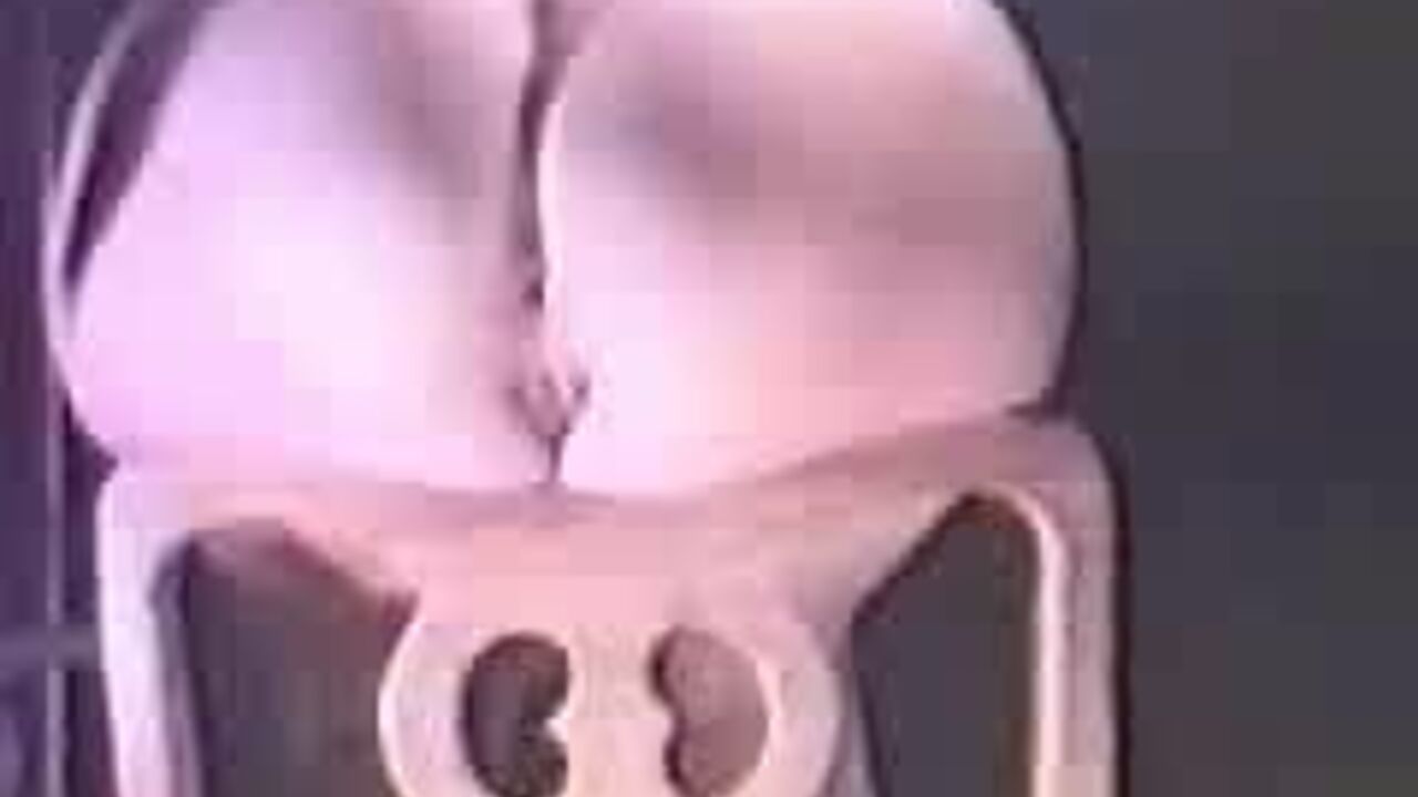 Watch this slutty scat video full of her filthy ass and juicy pussy