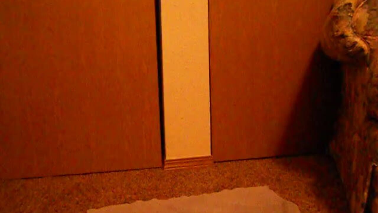 Janet 011, the kinky scat porn video of a filthy slave getting off