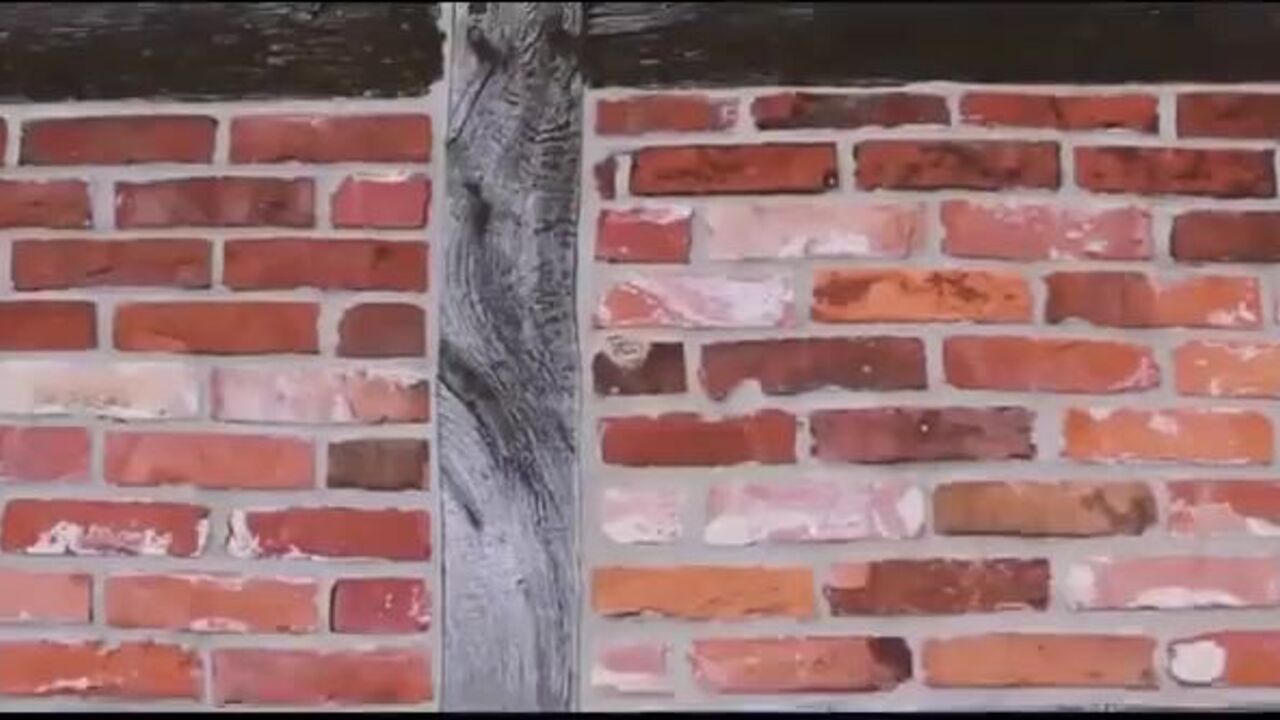 Brique's scat porn: the ultimate scat porn video collection