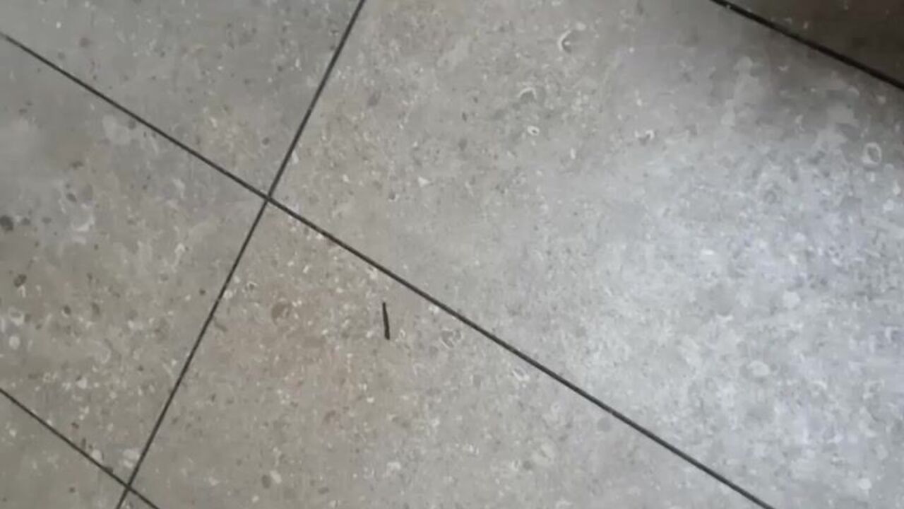 Watch scat porn with a scatty slave getting fucked hard in multiple positions