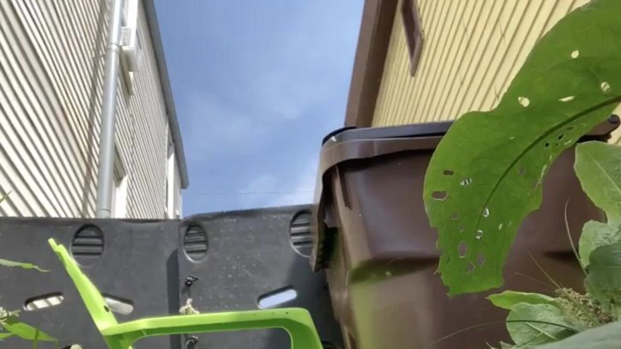 Watch this brunette get her poochie in her back yard and get drilled hard