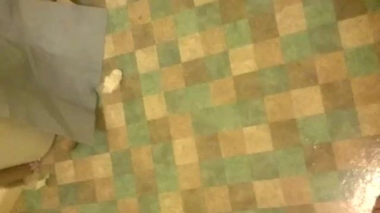 Watch The Sweeter Side of Chocolate get fucked hard in POV