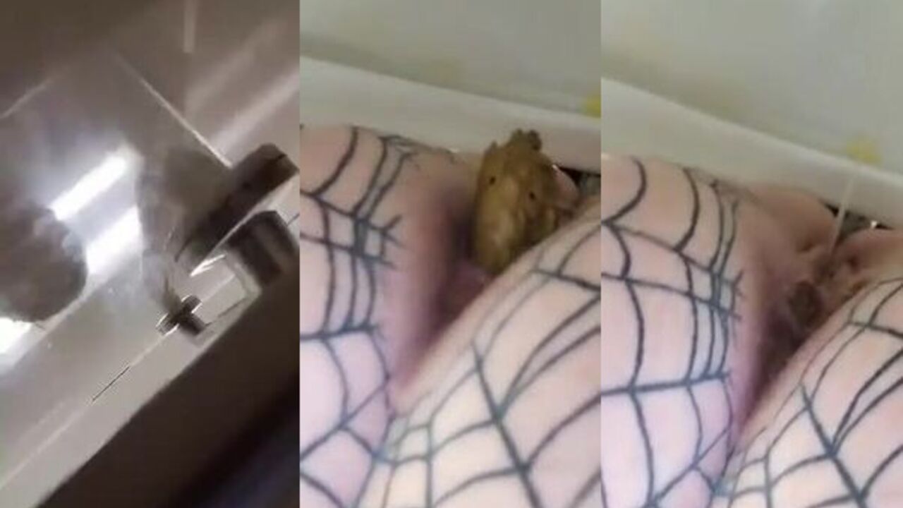 Watch scat porn videos of filthy slaves getting their butts drilled in hardcore fetish action.