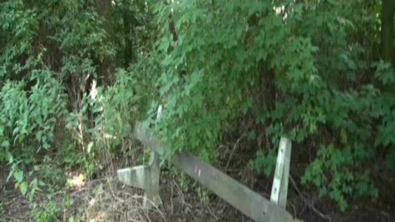 Get up close and personal with this scat porn video of a horny scat girl getting off