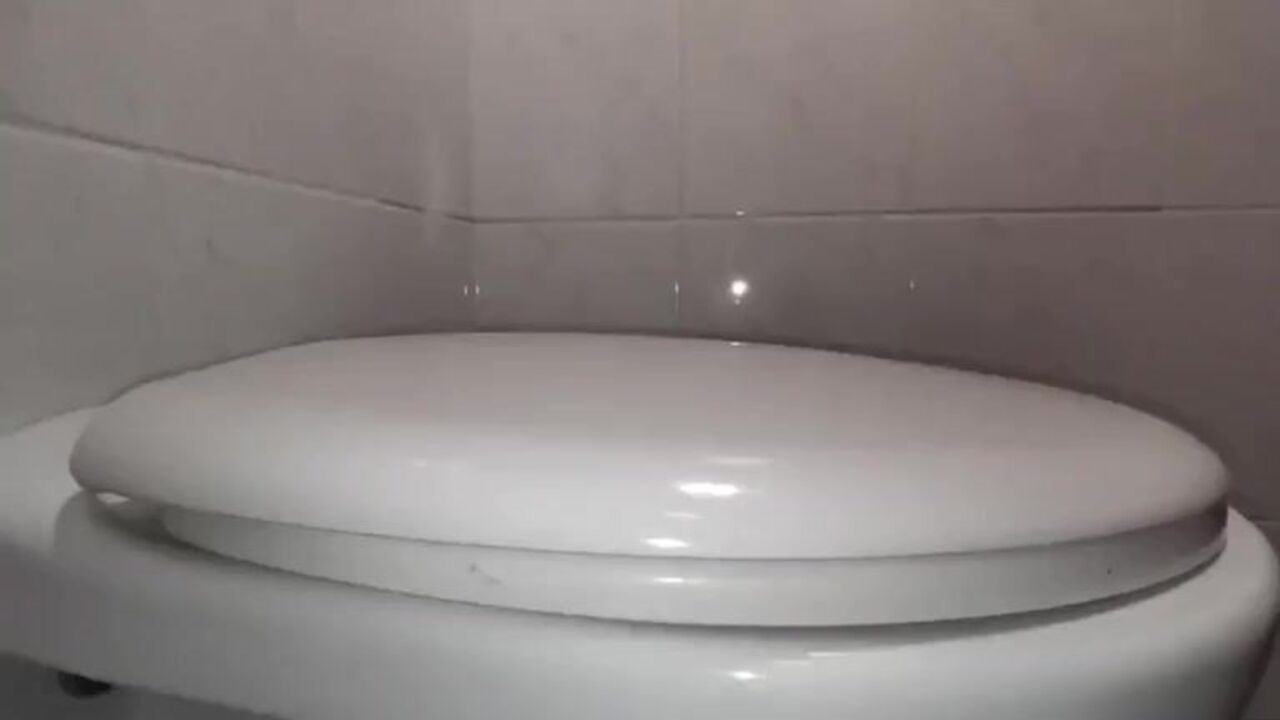 Watch as multiple scat women get punished in a filthy video