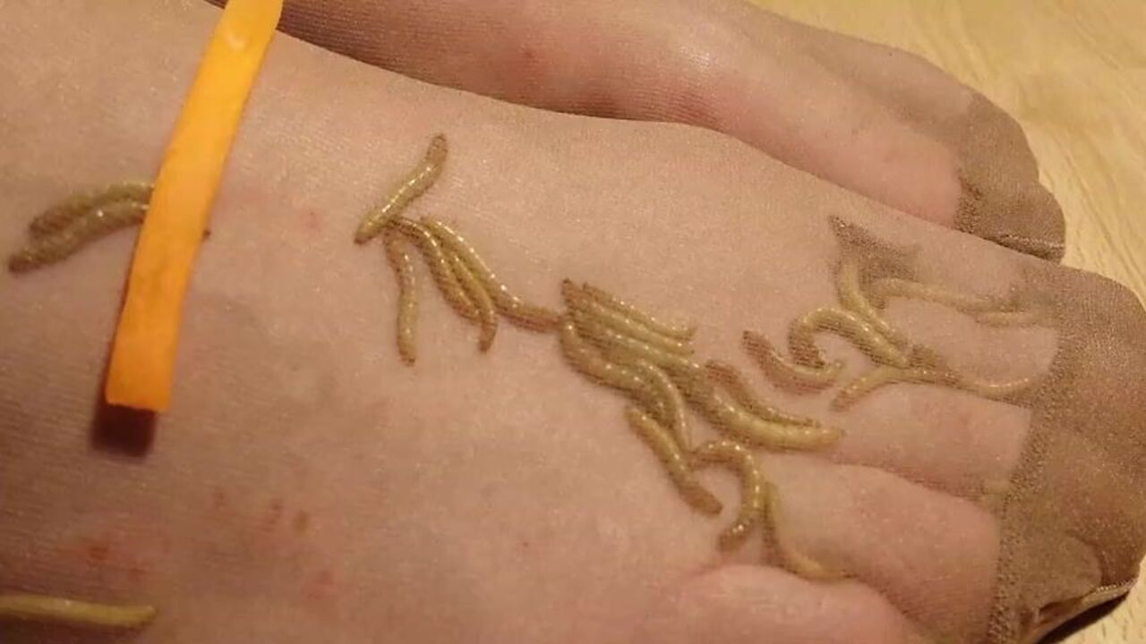 Watch me devour my baby with my maggots & high heels on!