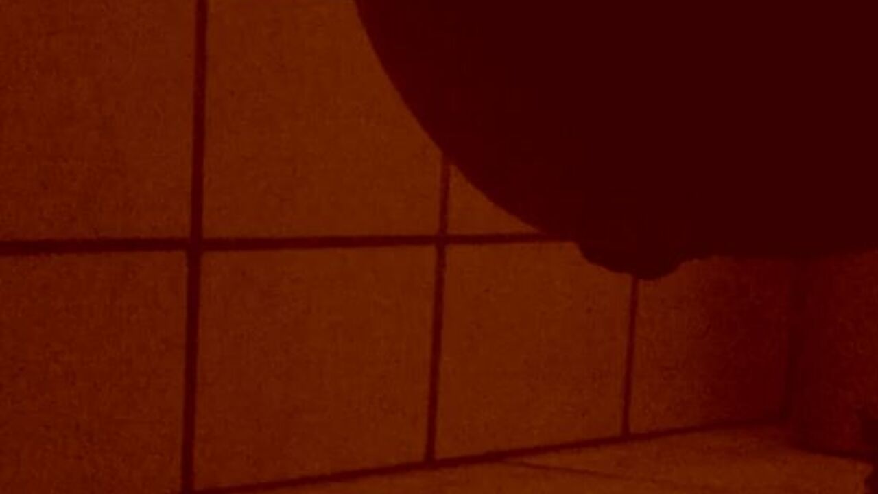 Watch these filthy porn videos featuring scat girls getting off in scat porn