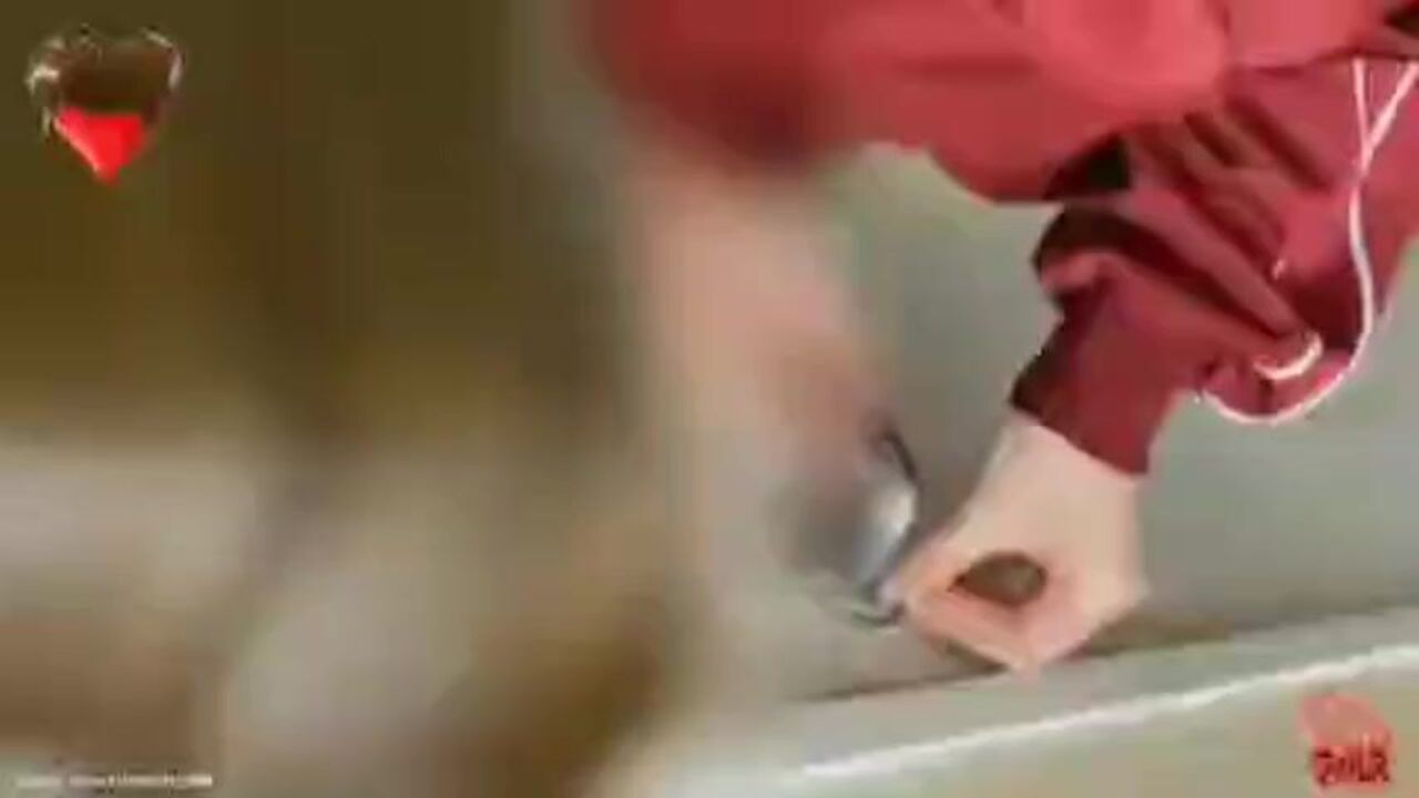 Wetfart scat porn: farting, enema and wet fart action!