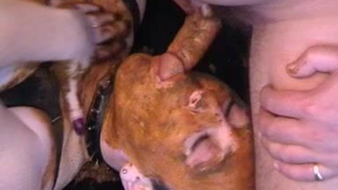 Get up close and personal with the filthy scat of your dreams: MFD-Scat003