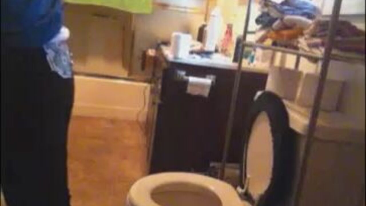 Watch as these filthy sluts get off on scat and scat porn