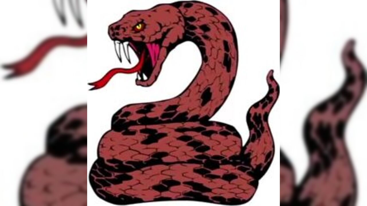 Get up close and personal with this scat porn video: A poop porno of a scatporn!