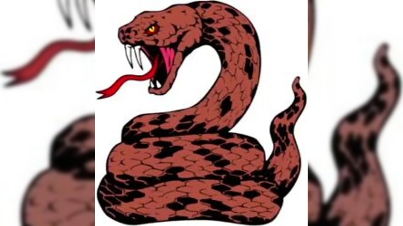 Watch these kinky sluts get off with scat play and wild sex