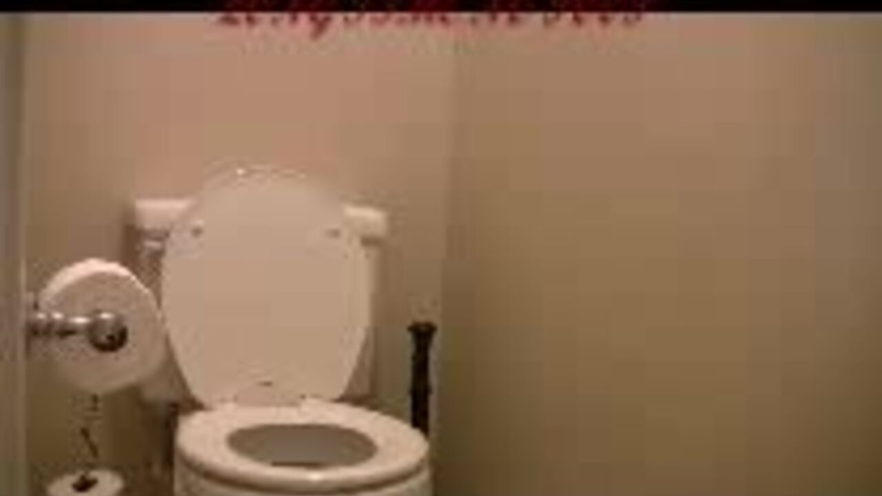 Watch scat porn videos of filthy slaves getting drilled in export